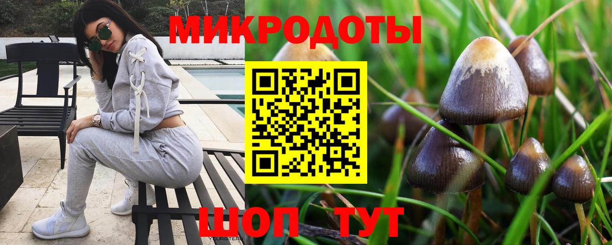 Верхняя Пышма  Псилоцибиновые грибы ЛСД  что такое   Вход с VPN 